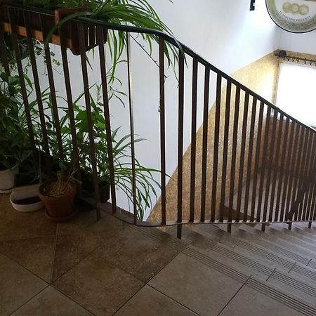Dom Sportowca Roko Apartment Gdańsk Exterior foto